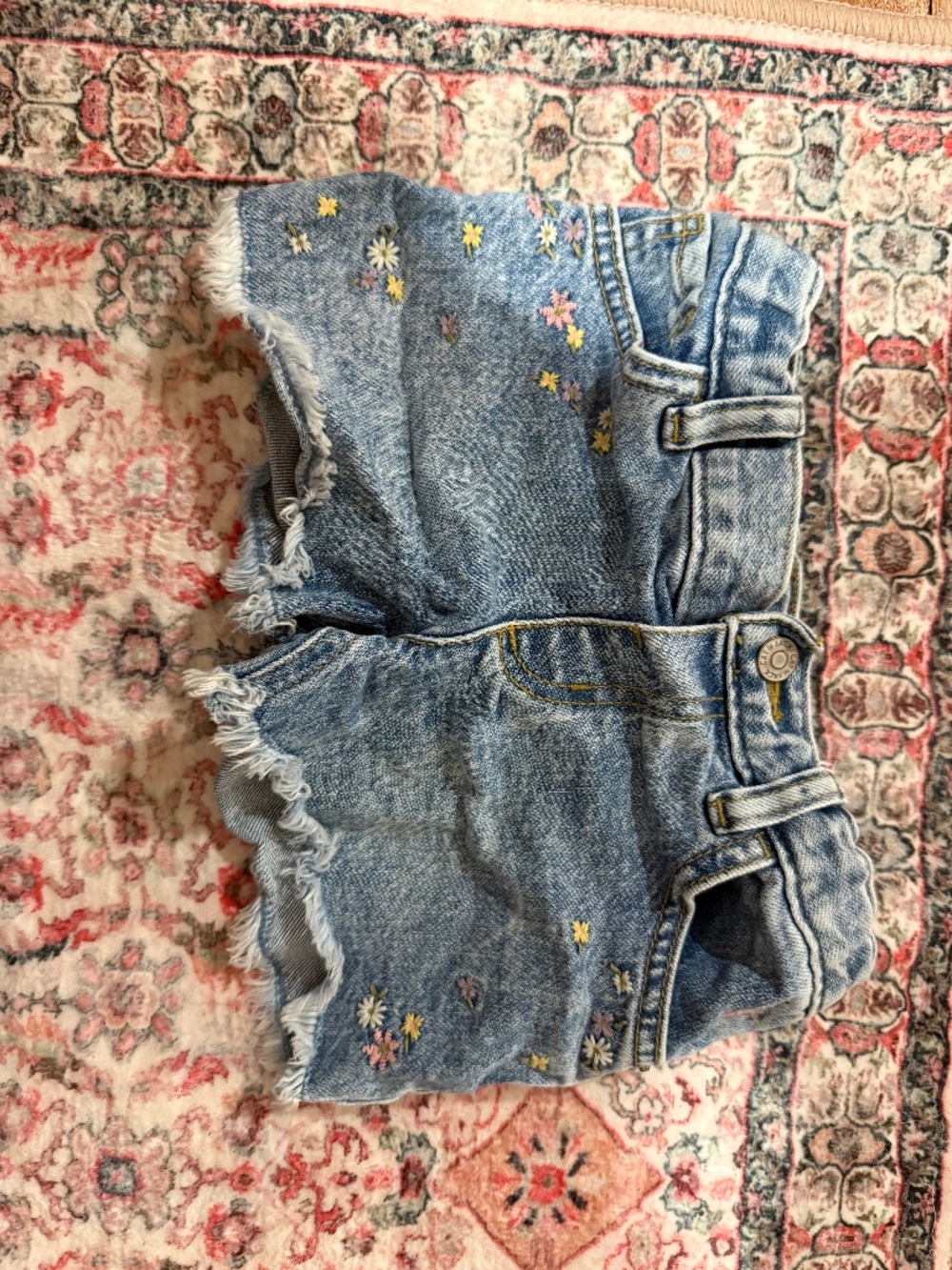 5t cat and jack jean shorts